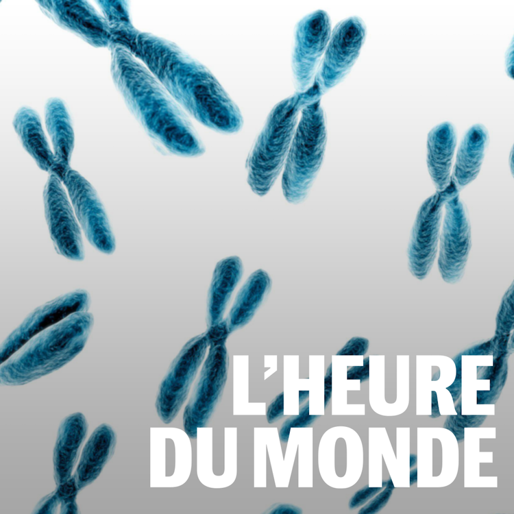 cover art for Le chromosome Y est-il menacé d’extinction ?