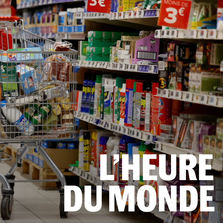 cover art for Inflation : les grands groupes alimentaires profitent-ils de la crise ?