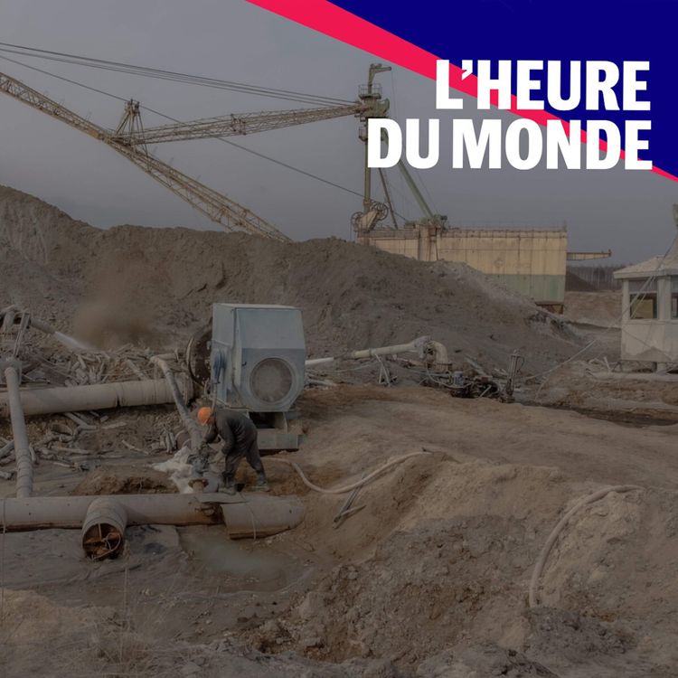 cover art for Pourquoi Donald Trump veut-il mettre la main sur les terres rares ?