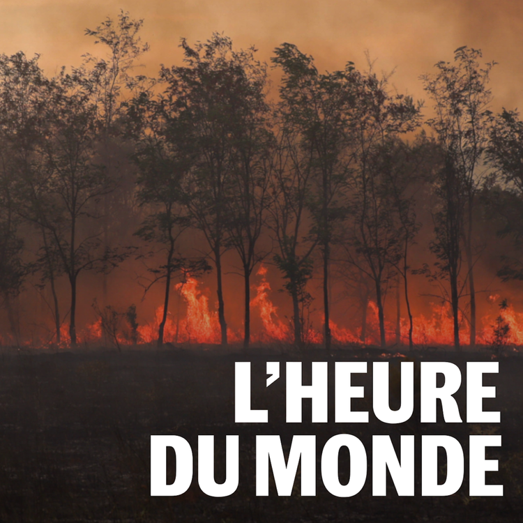 cover art for Climat : l’été des extrêmes