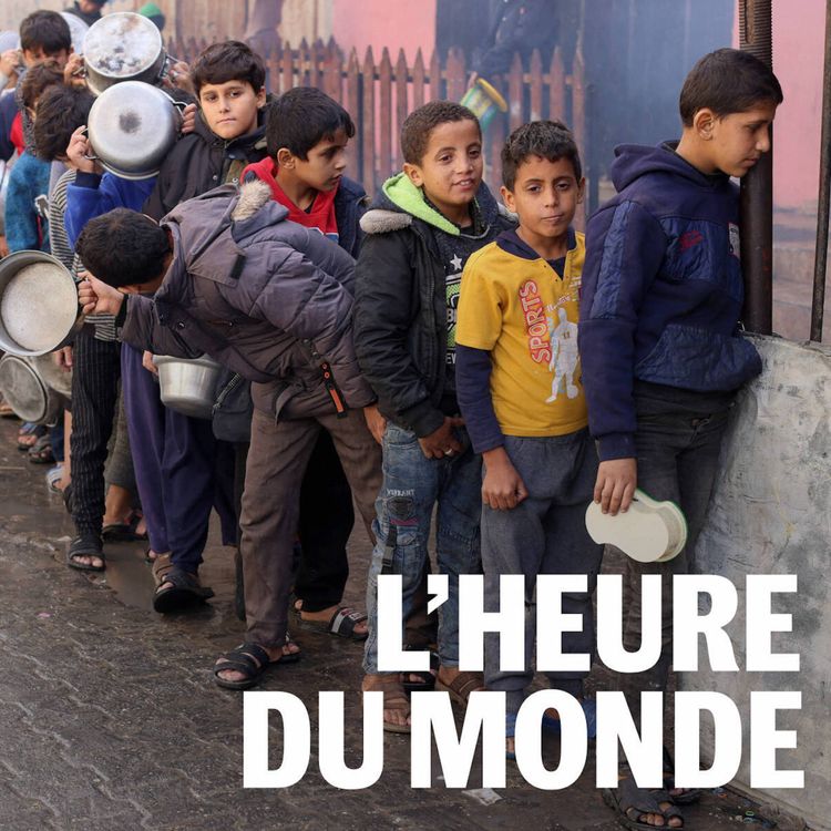 cover art for Gaza : après quatre mois de siège, la catastrophe humanitaire