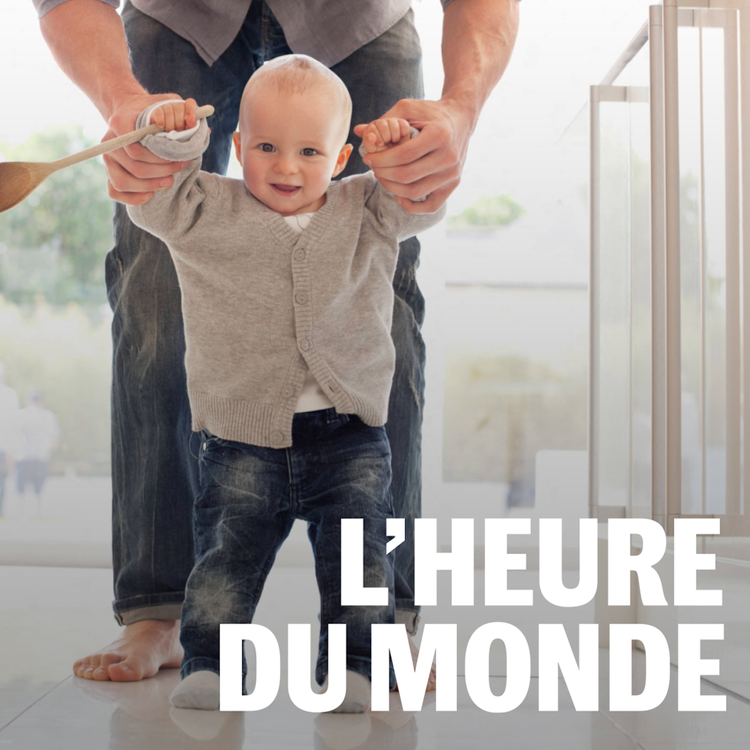 cover art for La France a-t-elle besoin d’un « réarmement démographique » ?