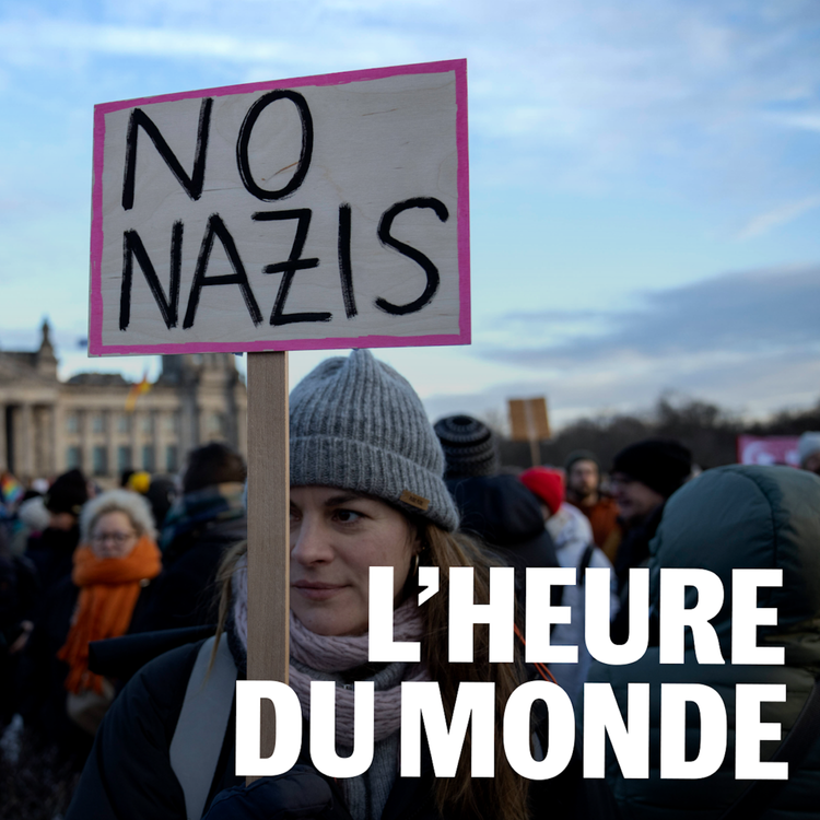 cover art for L’Allemagne peut-elle interdire l’extrême droite ?