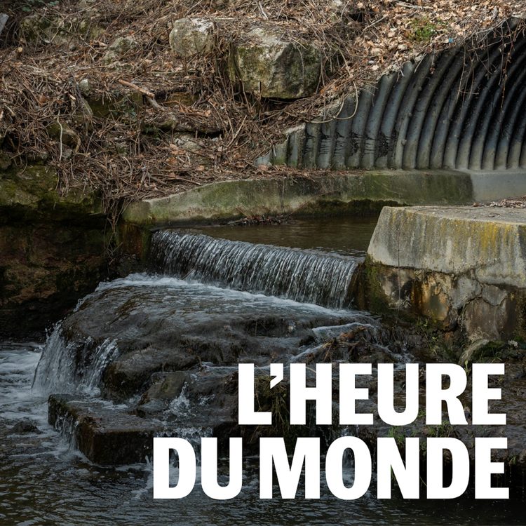 cover art for Les PFAS, ces polluants éternels qui ont contaminé l’Europe [REDIFF]