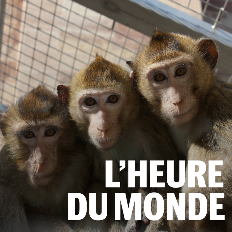 cover art for La géostratégie du macaque, un enjeu de souveraineté médicale