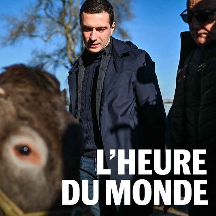 cover art for Agriculteurs : comment le RN profite de la crise pour cliver sur l'écologie [REDIFF]