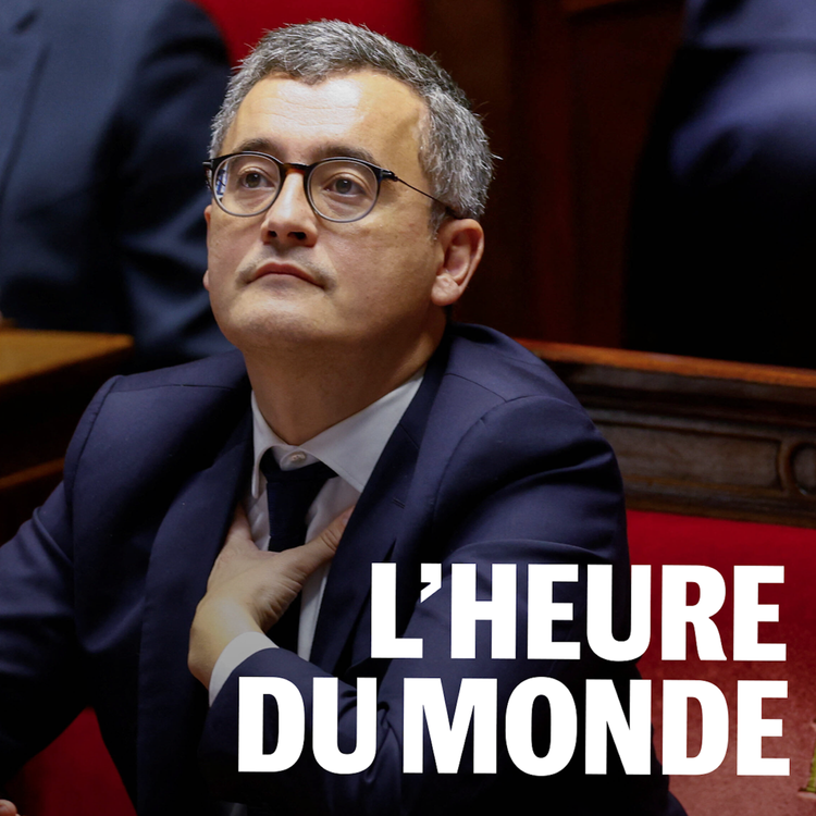 cover art for Loi relative à l’immigration : ce que le texte controversé contient exactement