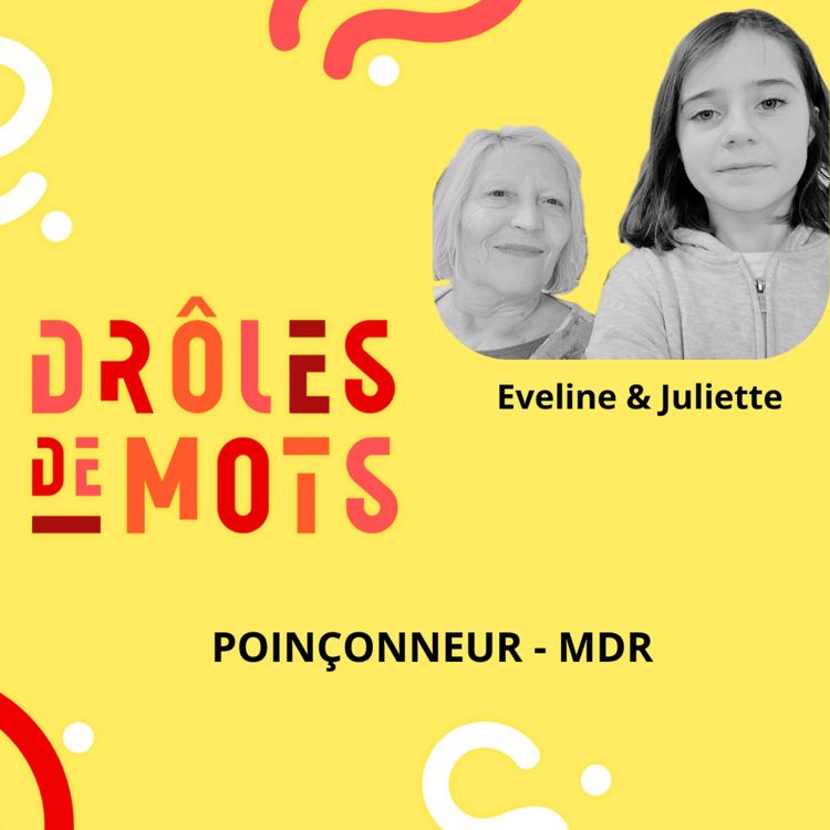 cover art for POINÇONNEUR - MDR