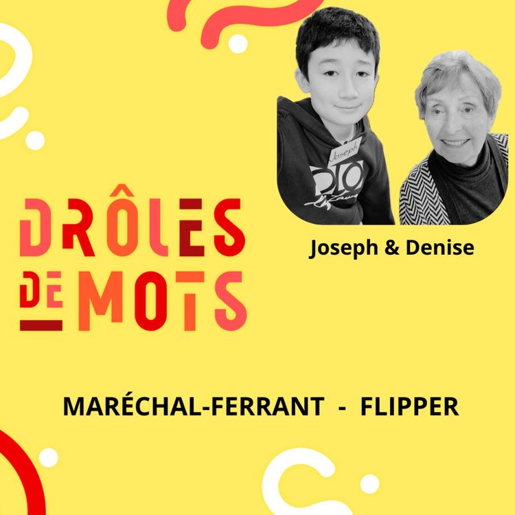 cover art for MARÉCHAL-FERRANT  -  FLIPPER