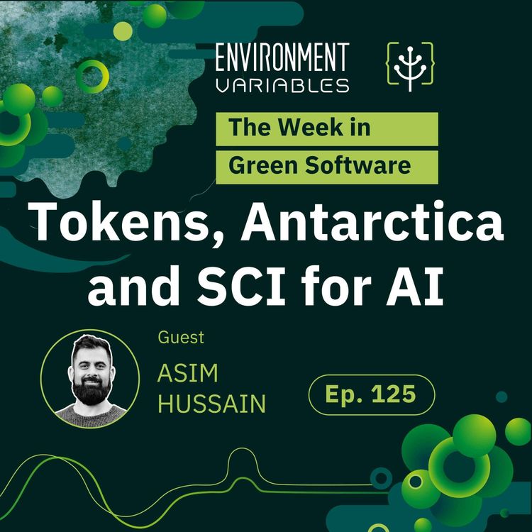 cover art for The Week in Green Software: Tokens, Antarctica and SCI for AI