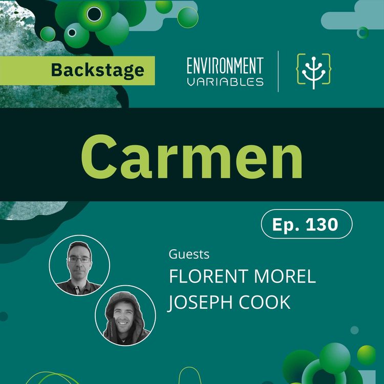 cover art for Backstage: Carmen