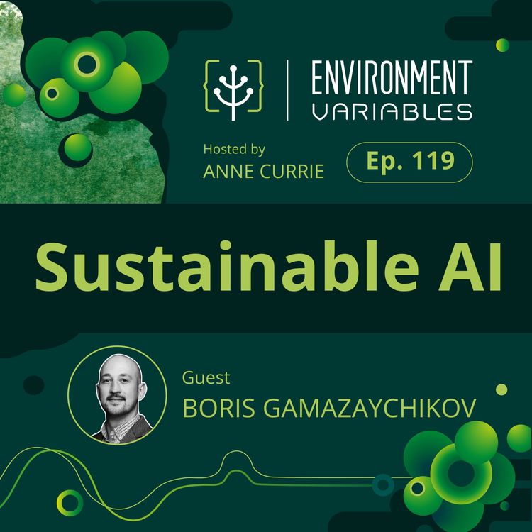 cover art for Sustainable AI