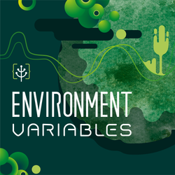 cover art for Environment Variables