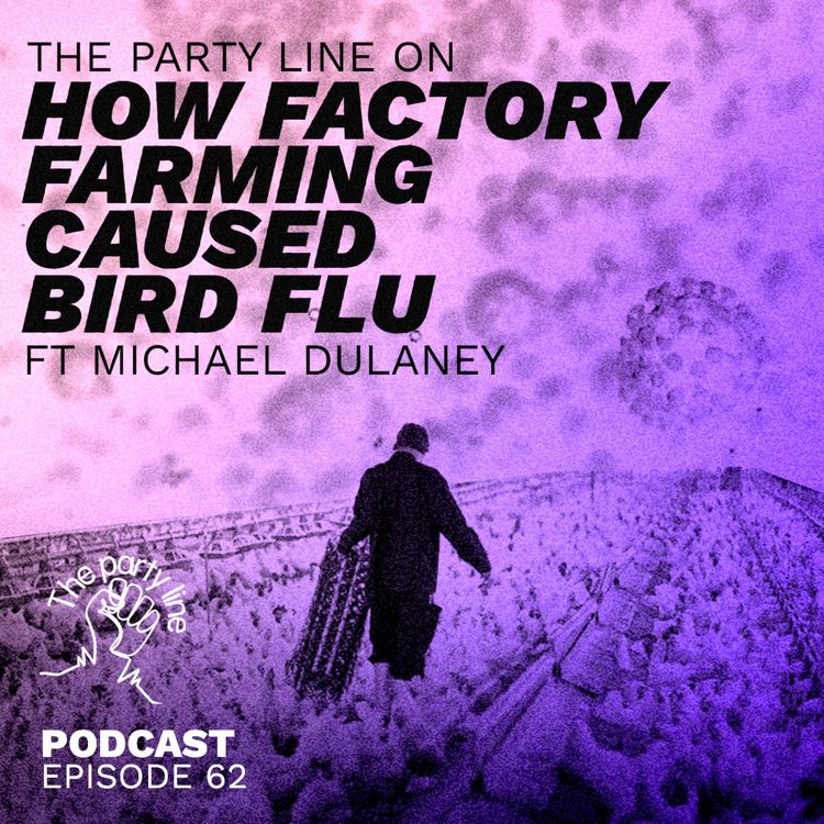 cover art for The Party Line on how factory farming caused bird flu ft Michael Dulaney