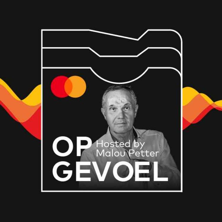 cover art for #1: Hein Noortman - De blinde bergbeklimmer die nog steeds van het uitzicht geniet