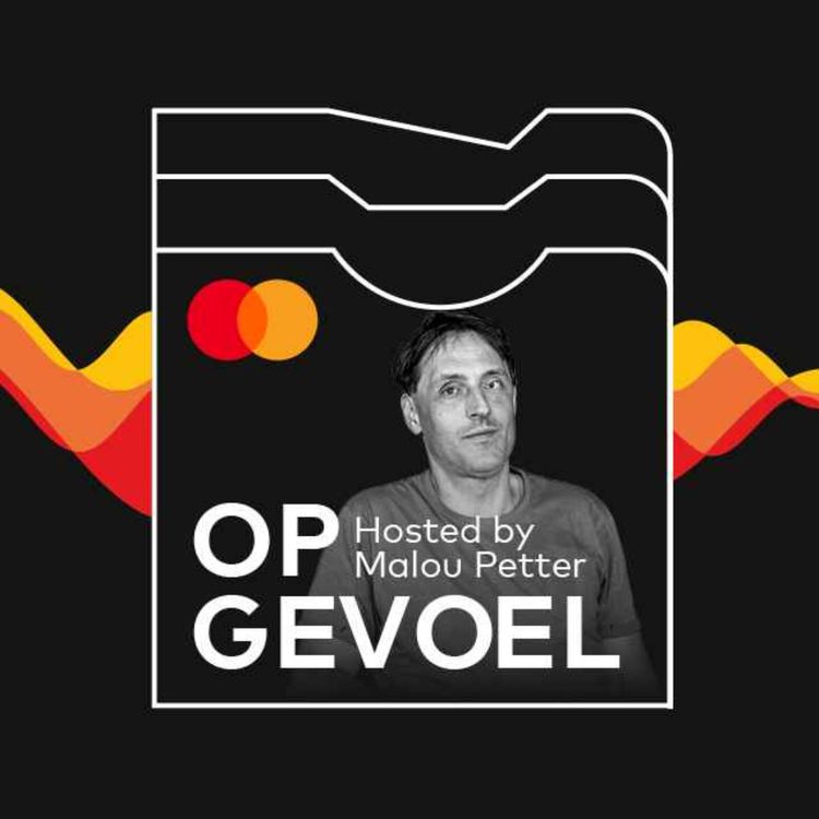 cover art for #3: Sebastiaan Hermans - de rechter die gewoon zijn werk doet