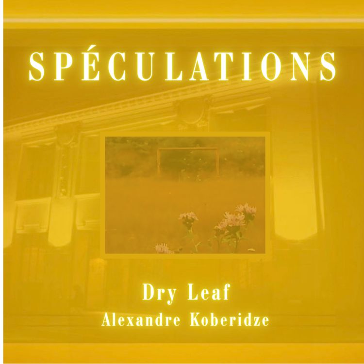 cover art for SPÉCULATIONS : DRY LEAF (Alexandre Koberidze)