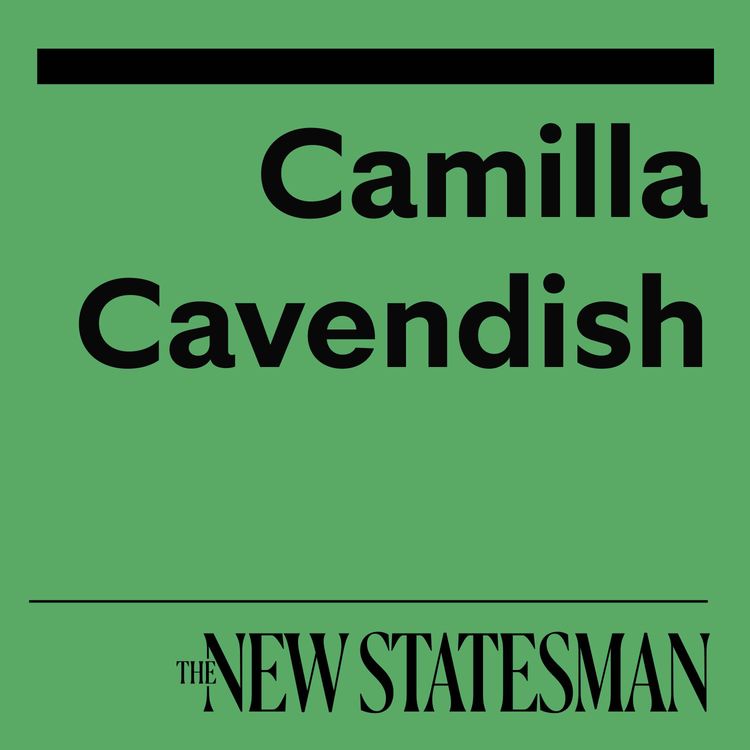 cover art for A wave of childlessness is sweeping the whole world