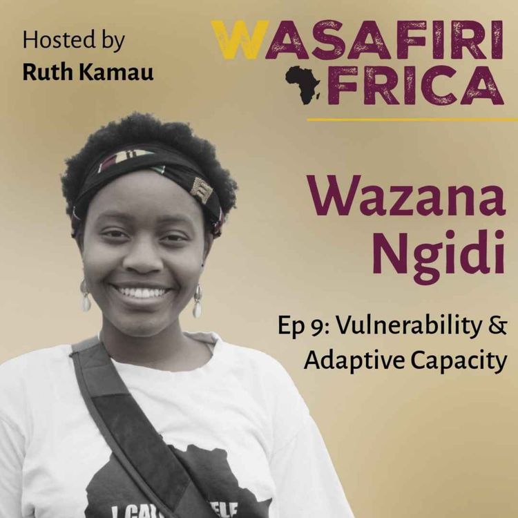 cover art for Diminishing Vulnerability Through Adaptive Capacity with Wazana Ngidi