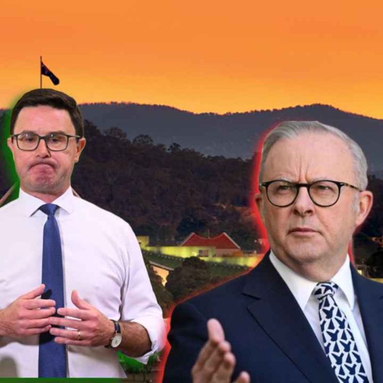 cover art for 442. Hate Speech Politics