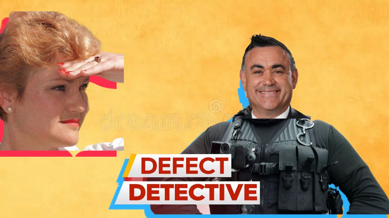 cover art for 450. North Shores's Newest Pest Inspector