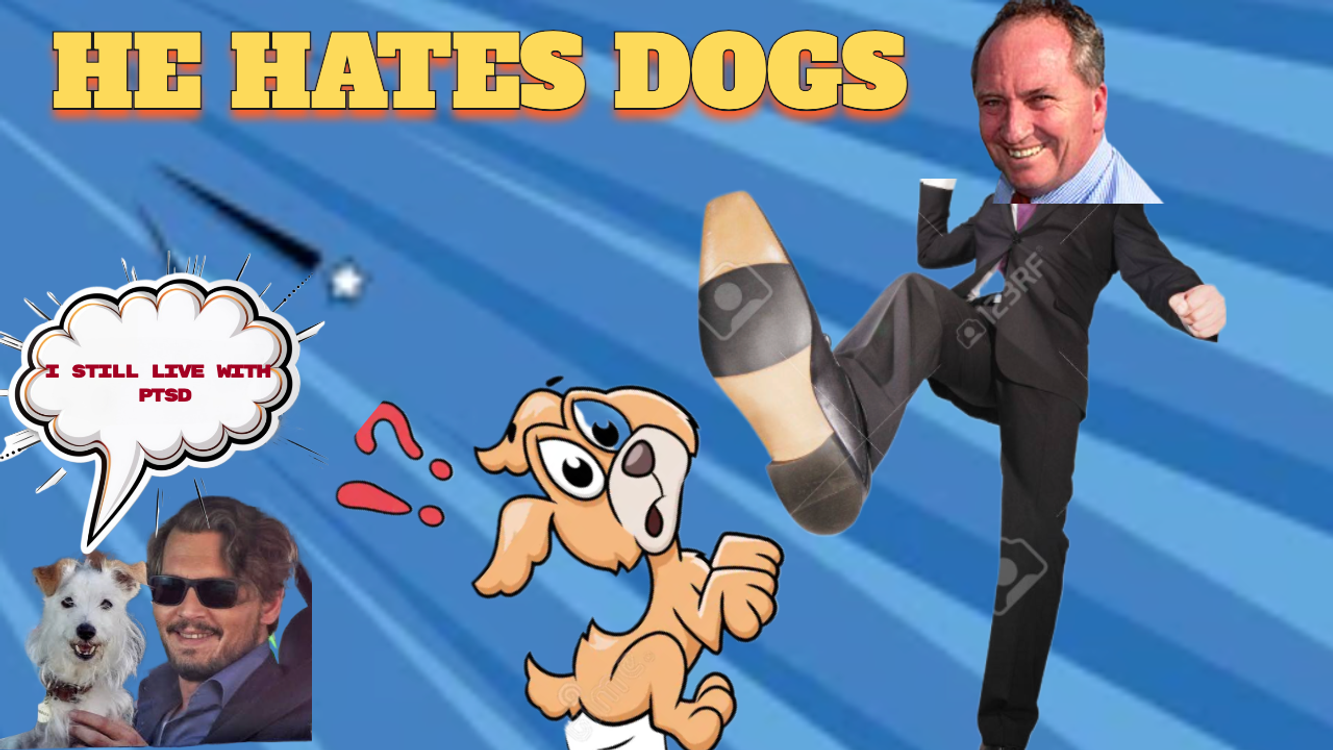 cover art for 484. Barnaby - GET A DOG UP YA ! (Shawarma FM)