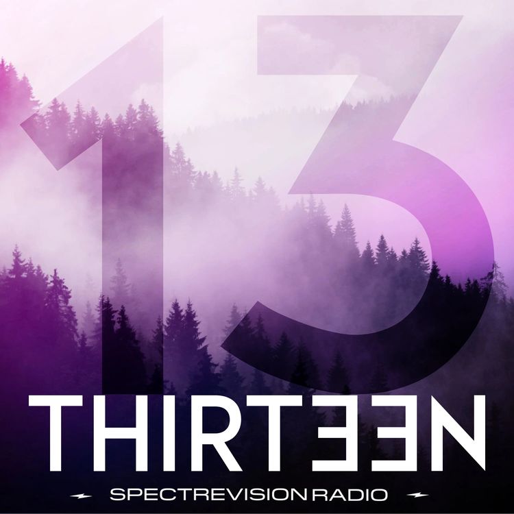 cover art for We Recommend: Thirteen