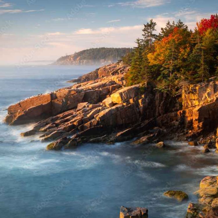 cover art for Lisa Girardin, Educator and Park Ranger at Acadia National Park
