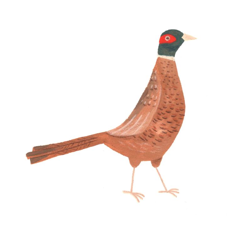 cover art for Pheasantopia by Tanya Turner