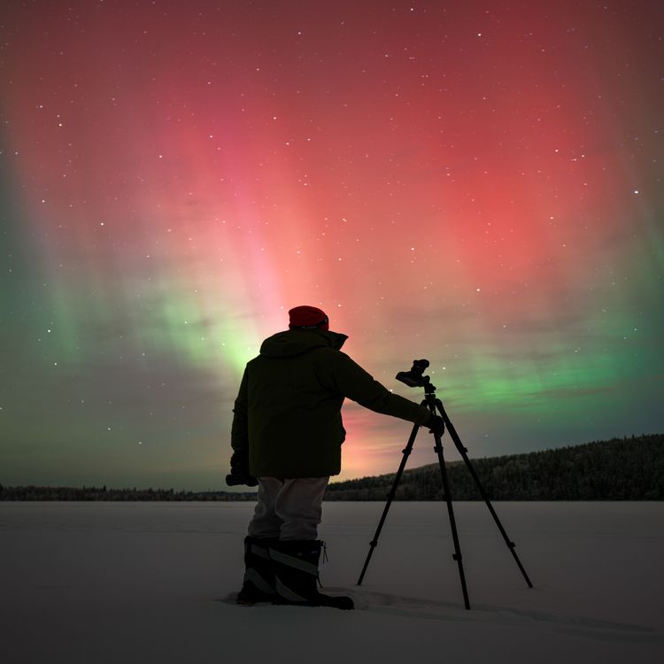 cover art for The Aurora Guy