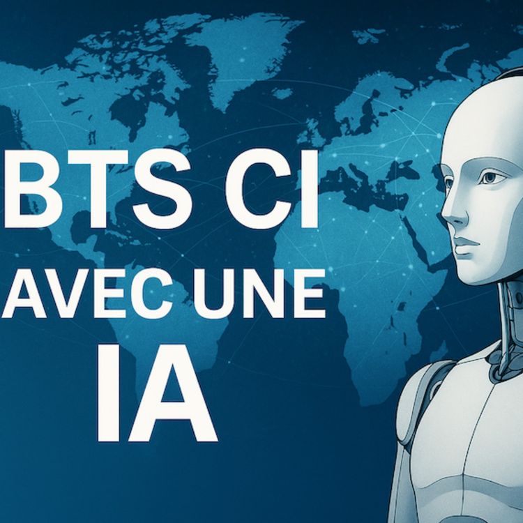 cover art for CEJM - Thème 4 - Chapitre 4 - Le respect des règles numériques par l’entreprise