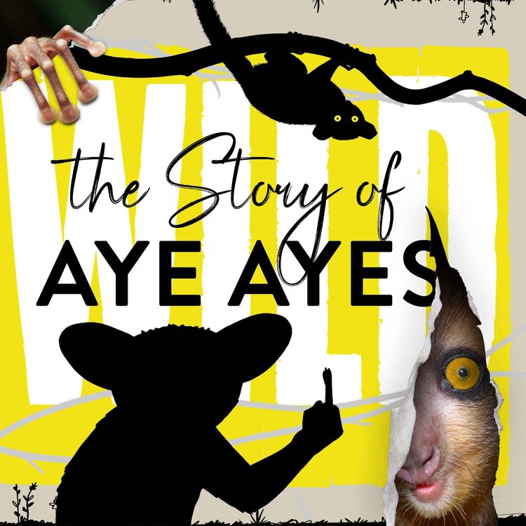 cover art for A Lemur's Secret Murder Finger