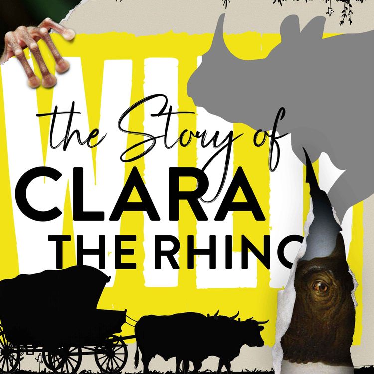 cover art for Launch Special - The Baby Rhino That Sailed Around Africa