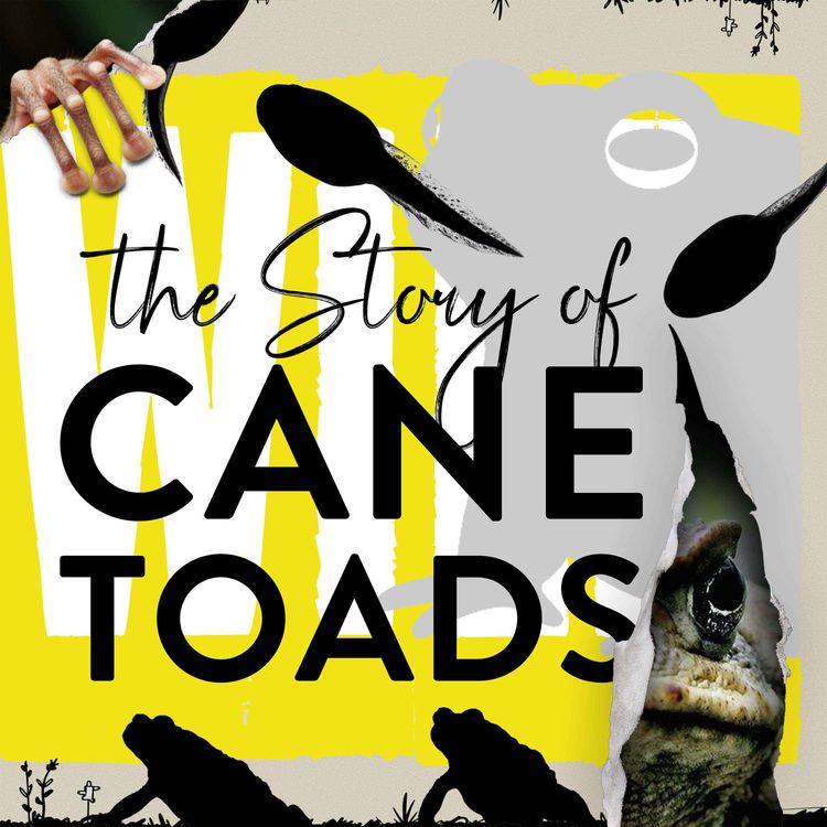 cover art for An Army of Tadpoles That Can't Grow Old