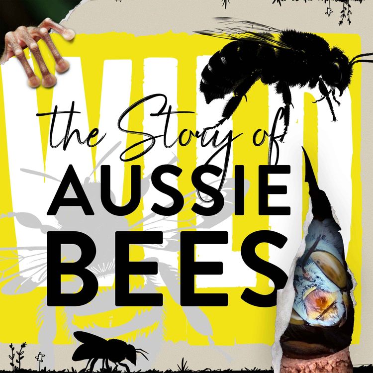 cover art for Saving 500 Invisible Species