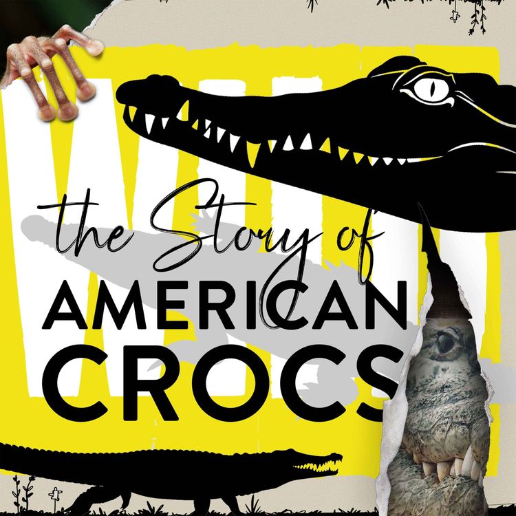 cover art for How The British Made Crocodiles Evil