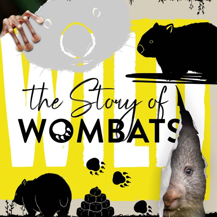 cover art for Easter Special - How Wombats Do Cube-Shaped Poos