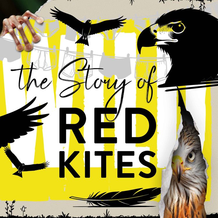 cover art for Saving the Underpants Bird