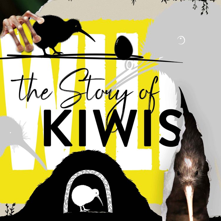 cover art for Stealing Kiwi Eggs to Save Them