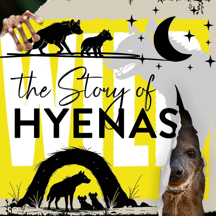 cover art for How Pleb Hyenas Become Queens