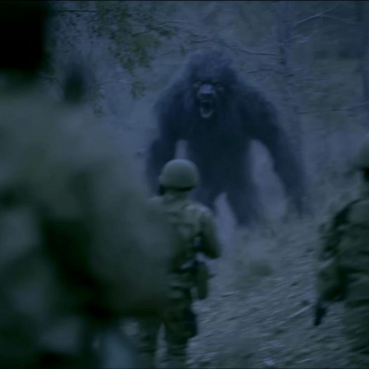 cover art for U.S Navy SEAL: These CREATURES Have Infested Our National Forests and Parks