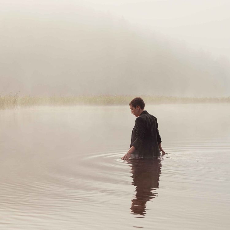 cover art for Växtverk