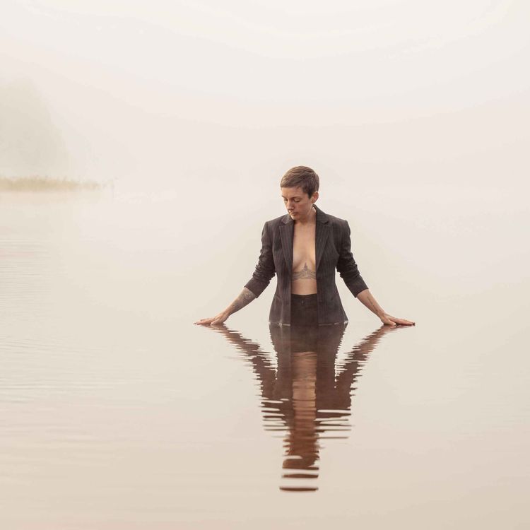 cover art for Hemsökt