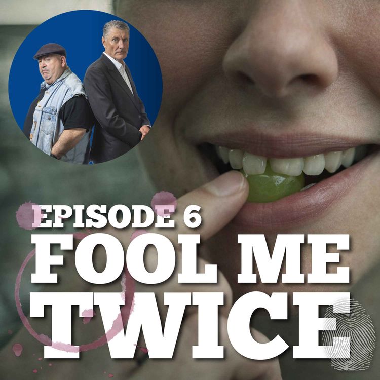 cover art for Episode 6: Petty Theft, Ponzi Scams and Anatomy of a Smile