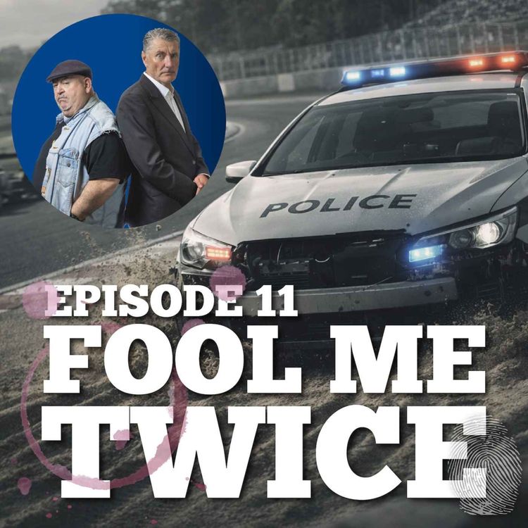 cover art for Episode 11: The playbook of dating scams and catfishing