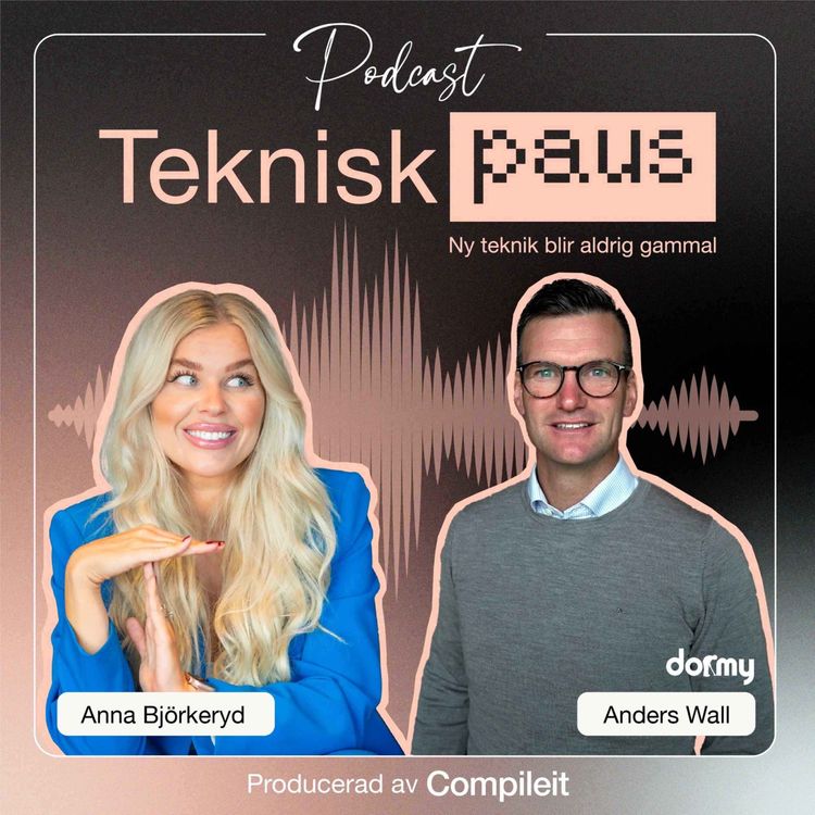 cover art for 1. Anders Wall - VD på Dormy