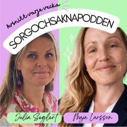 cover art for Sorgochsaknapodden