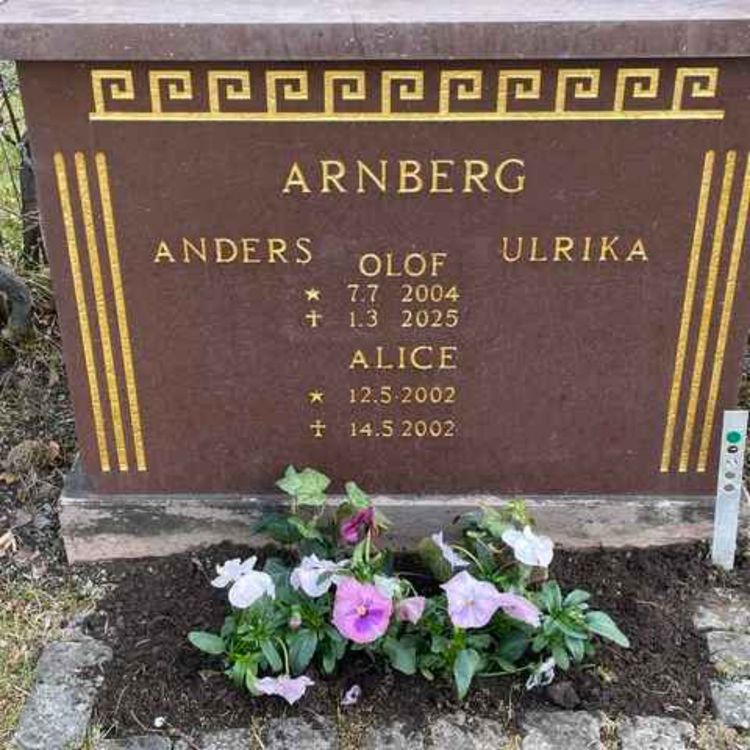 cover art for Ulrika om IVF och förlusten av hennes älskade Olof