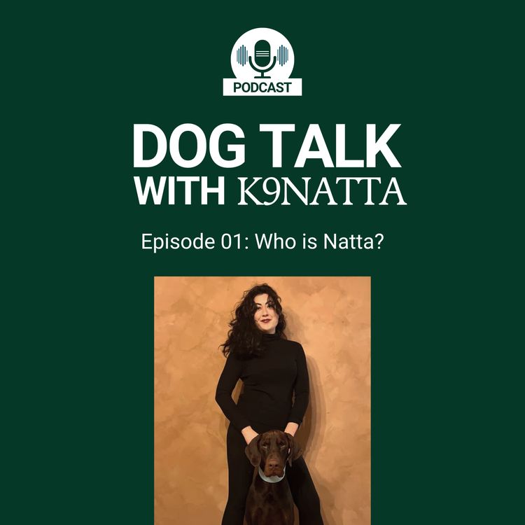 cover art for Who is K9NATTA?