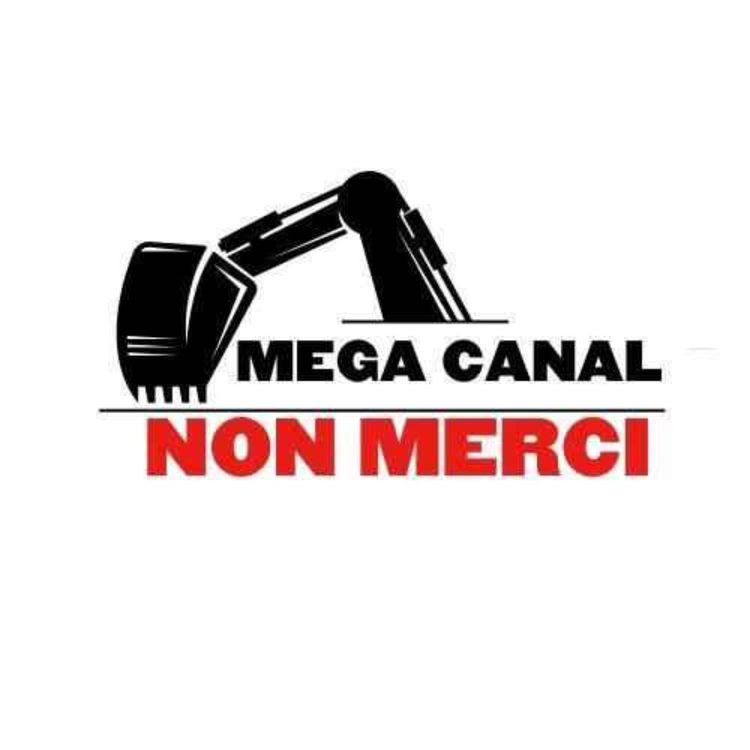 cover art for Canal Nord-Seine Europe : un projet destructeur pour l'environnement 